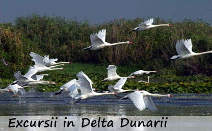 Excursii in Delta Dunarii